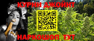 индика Аша