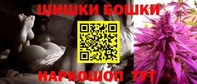 индика Аша