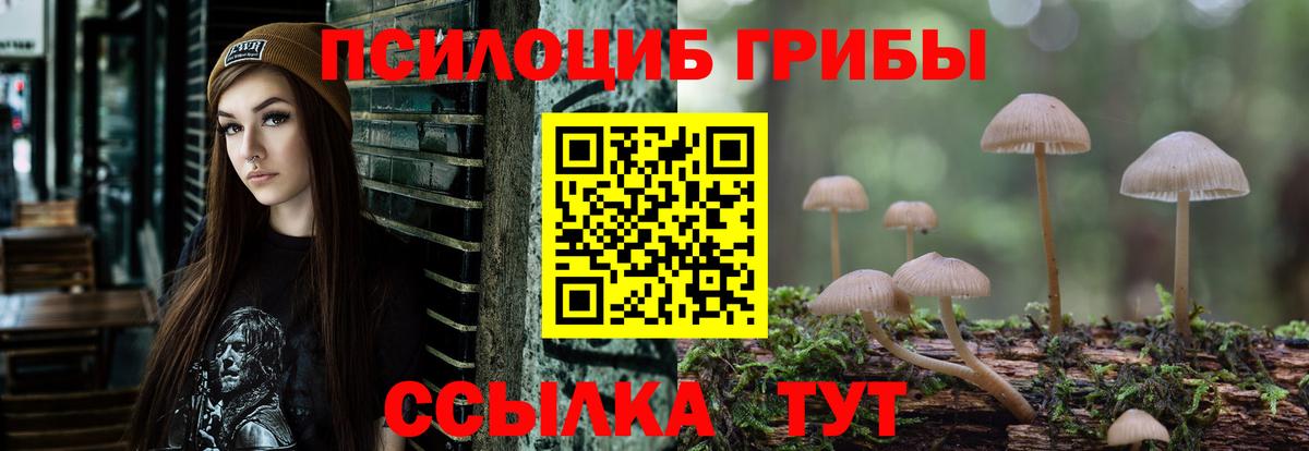 Галлюциногенные грибы Psilocybe Архангельск