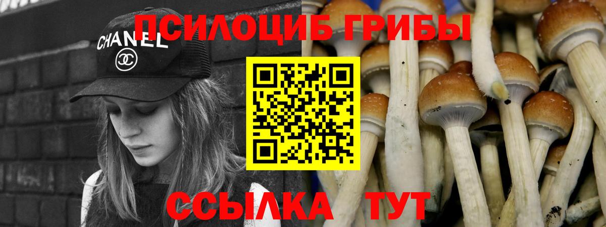 Галлюциногенные грибы мухоморы  Вход с VPN  дарнет шоп  Псилоцибиновые грибы Cubensis  Архангельск 